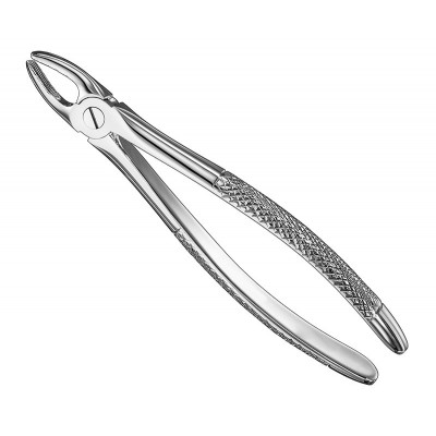 VERY NICE Extracting forceps english pattern