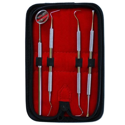 Dental Hygiene Kit 4 pieces