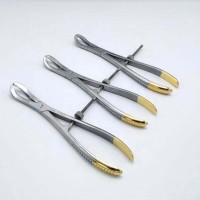 Bone holding forceps with gold handle available in different sizes